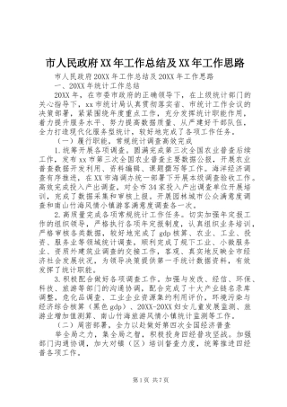市人民政府工作总结及工作思路