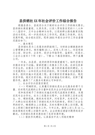 县供销社社会评价工作综合报告