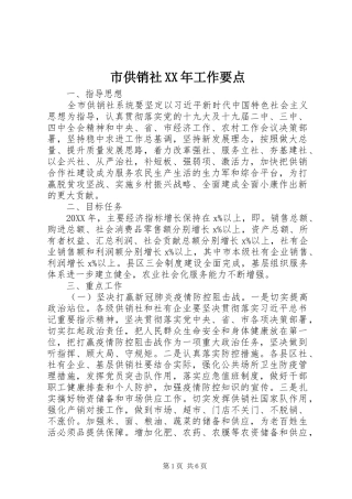 市供销社工作要点