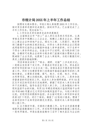 市统计局上半年工作总结