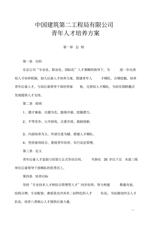 中建二局青年人才培养方案