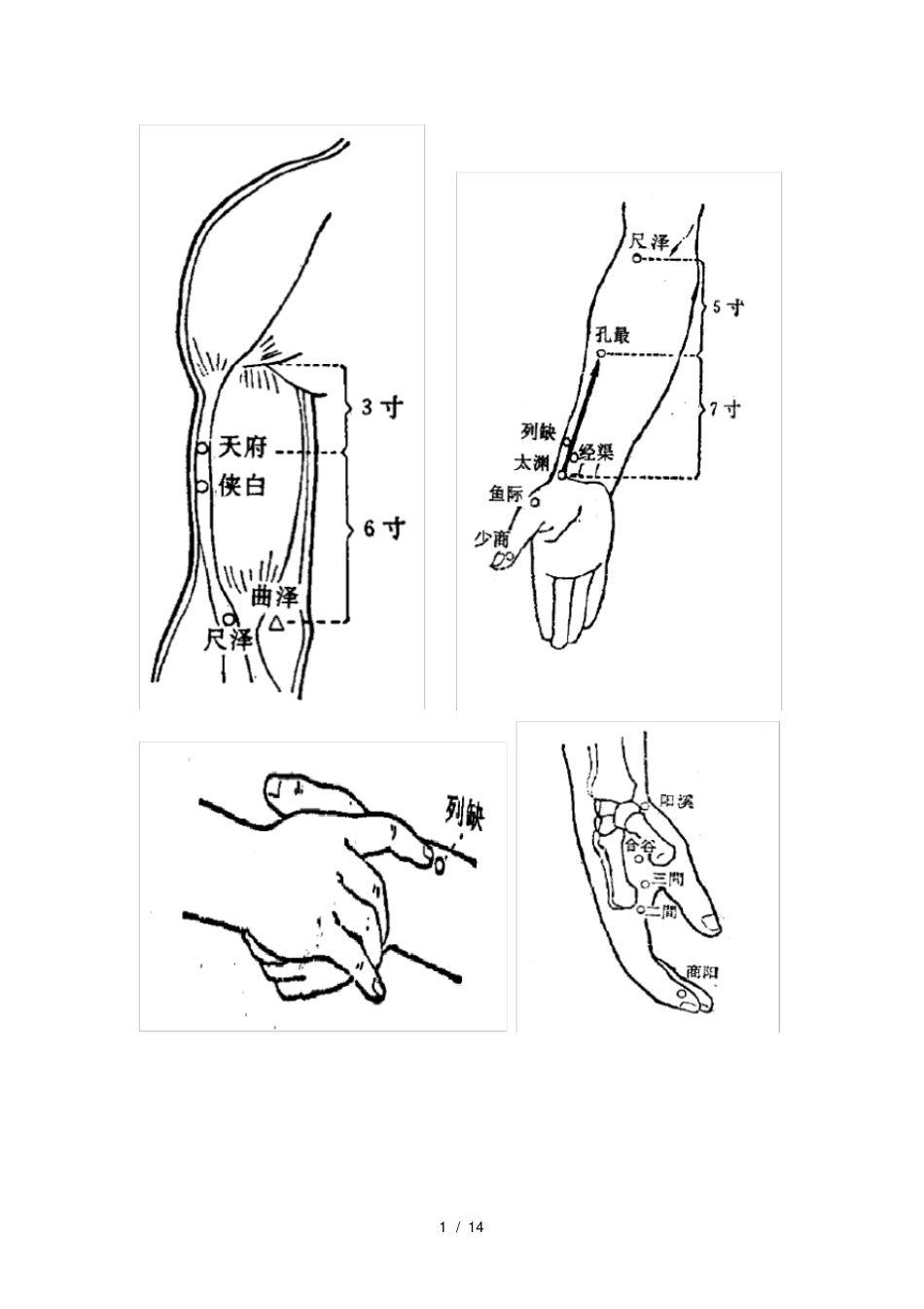 中医执业医师技能考试针灸80穴位全图_第1页