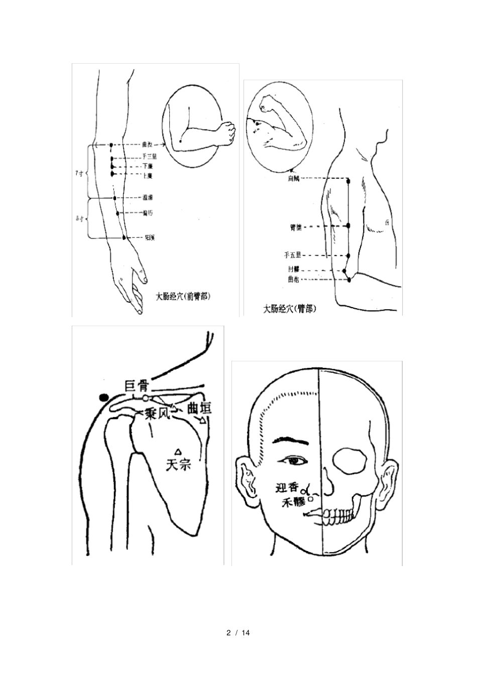中医执业医师技能考试针灸80穴位全图_第2页
