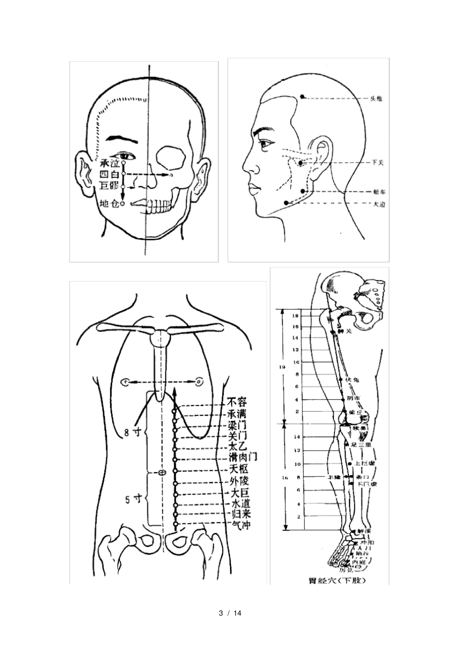 中医执业医师技能考试针灸80穴位全图_第3页