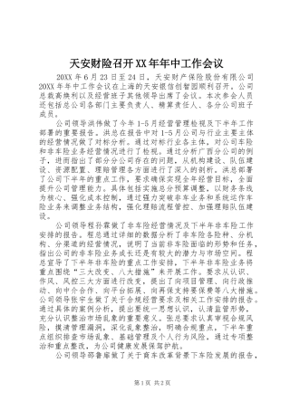 天安财险召开年中工作会议