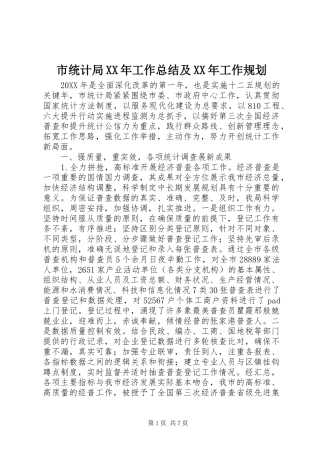 市统计局工作总结及工作规划