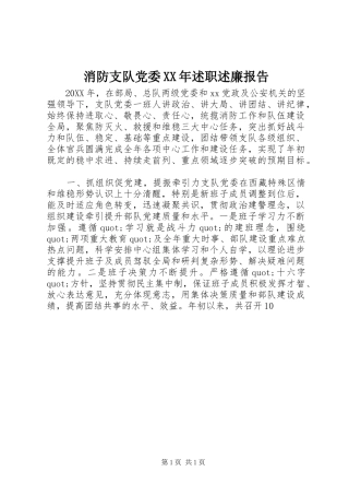 消防支队党委述职述廉报告