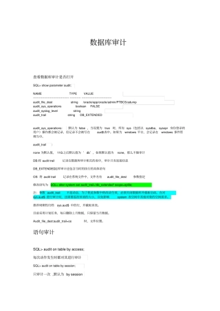 (完整版)数据库审计全