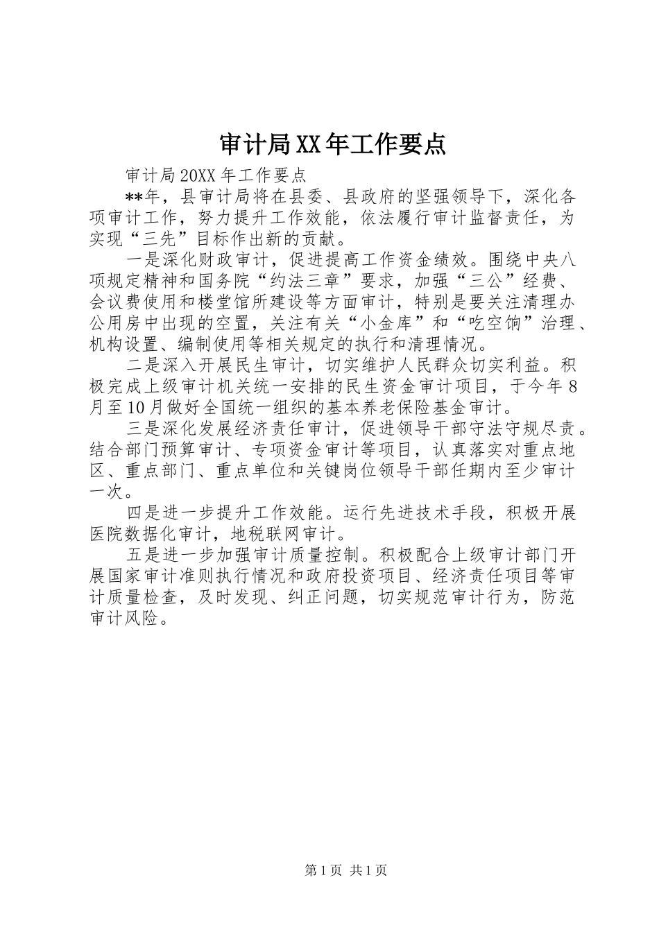 审计局工作要点_第1页