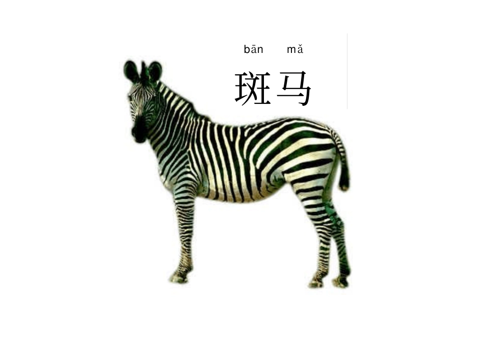 安全过马路图片_第1页