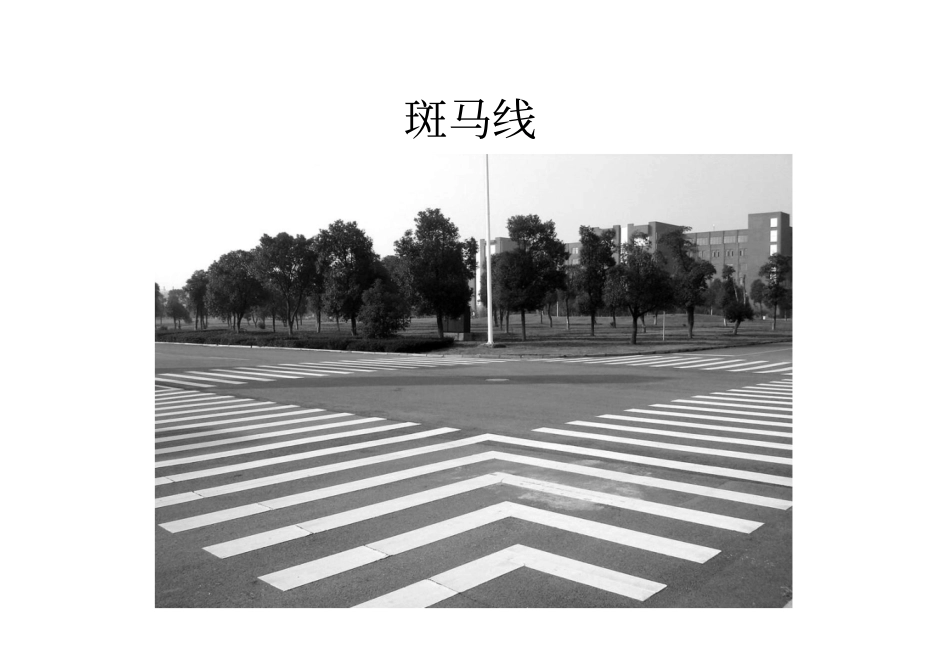 安全过马路图片_第2页