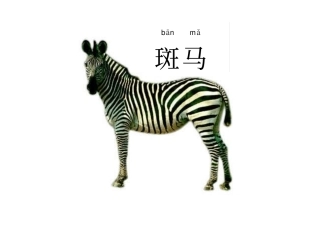安全过马路图片