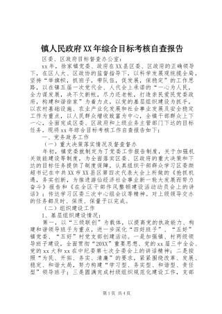 镇人民政府综合目标考核自查报告