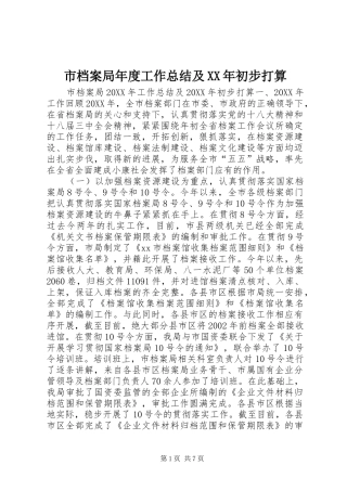 市档案局年度工作总结及初步打算