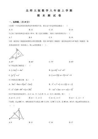 北师大版八年级上学期数学《期末测试卷》带答案解析