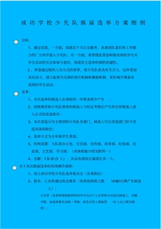 成功学校少先队选举流程