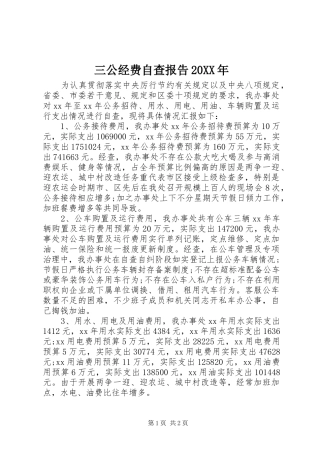 三公经费自查报告