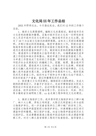 文化局工作总结
