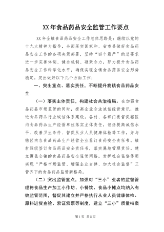 食品药品安全监管工作要点