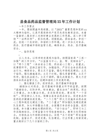 县食品药品监督管理局工作计划