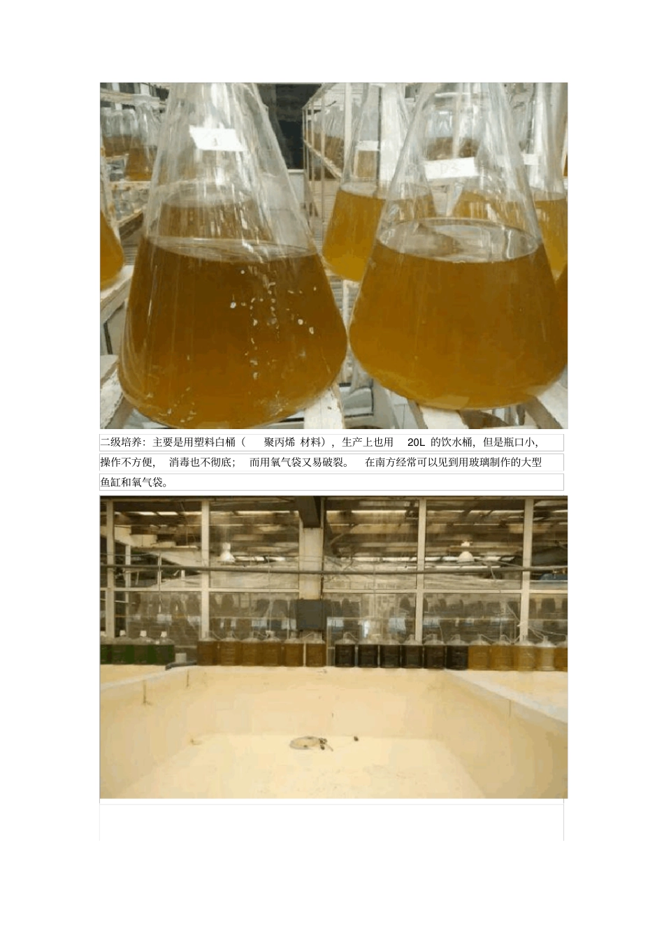 微藻工厂化培养经验分享(附单胞藻的培养配方)_第2页