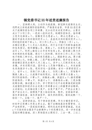 镇党委书记述责述廉报告