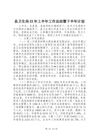县卫生局上半年工作总结暨下半年计划