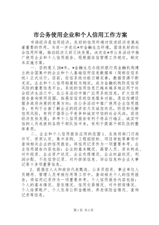 市公务使用企业和个人信用工作实施方案
