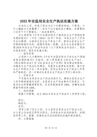 XX年安监局安全生产执法方案
