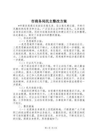 市商务局民主整改实施方案