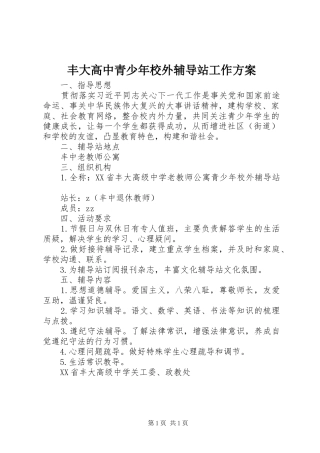 丰大高中青少年校外辅导站工作实施方案