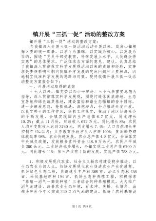 镇开展“三抓一促”活动的整改实施方案