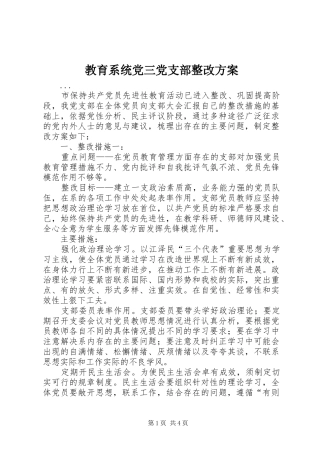 教育系统党三党支部整改实施方案