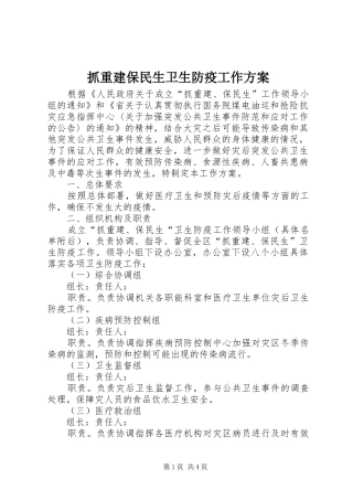 抓重建保民生卫生防疫工作实施方案