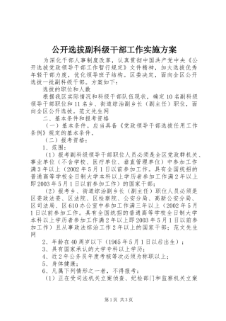 公开选拔副科级干部工作方案