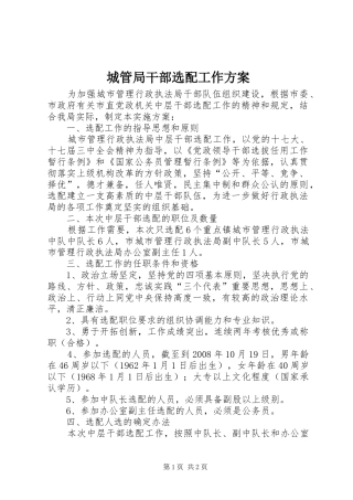城管局干部选配工作实施方案