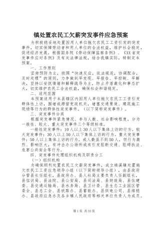 镇农民工欠薪突发事件应急预案