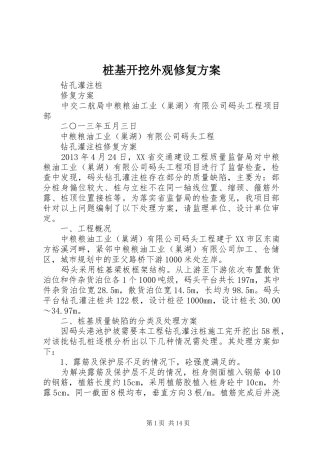 桩基开挖外观修复实施方案