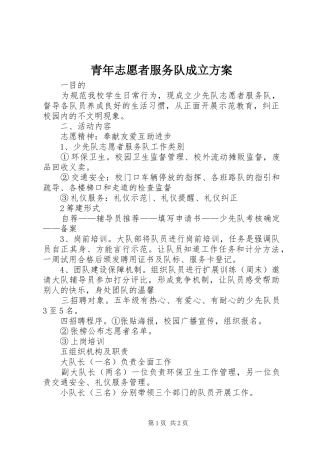 青年志愿者服务队成立实施方案
