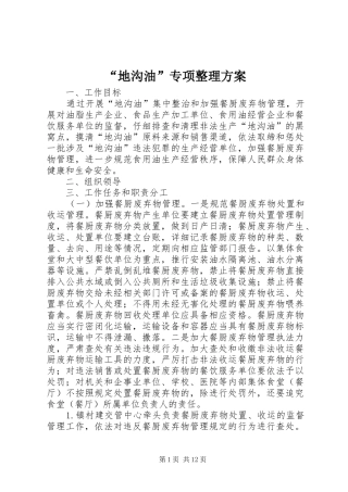 “地沟油”专项整理实施方案