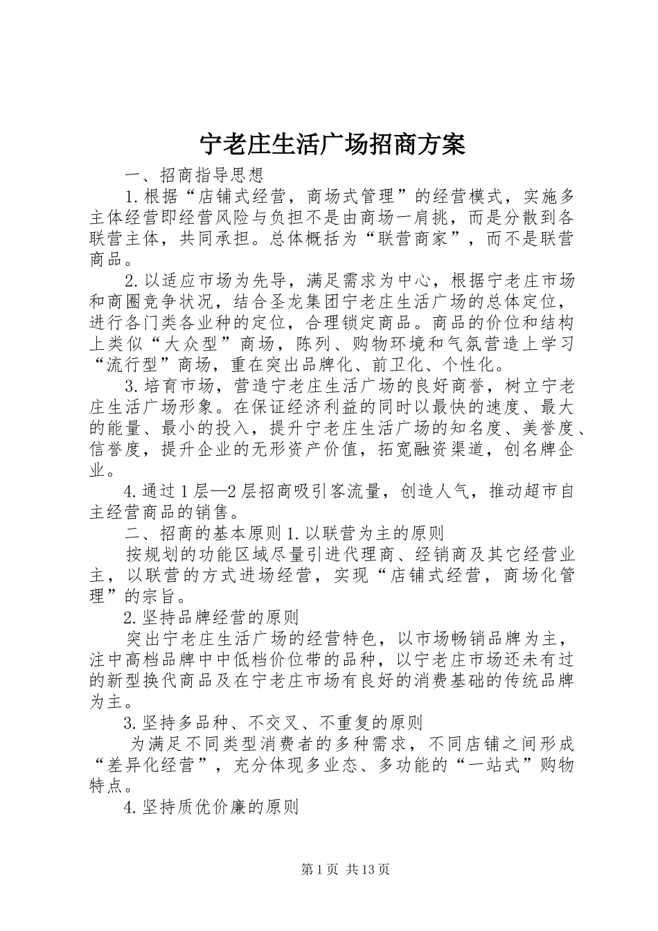 宁老庄生活广场招商实施方案_第1页