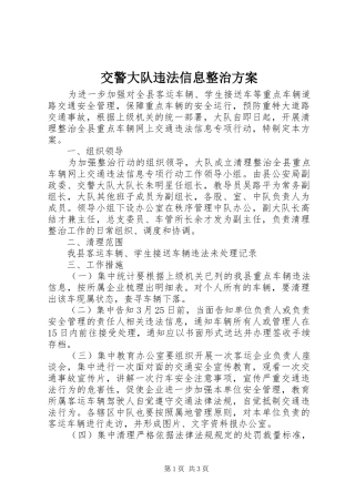 交警大队违法信息整治实施方案
