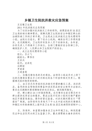 乡镇卫生院抗洪救灾应急处置预案