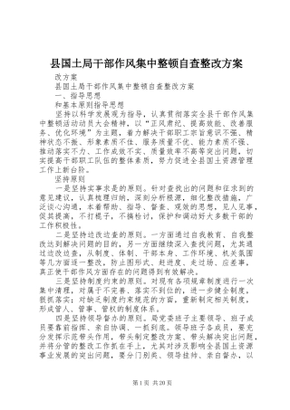 县国土局干部作风集中整顿自查整改实施方案