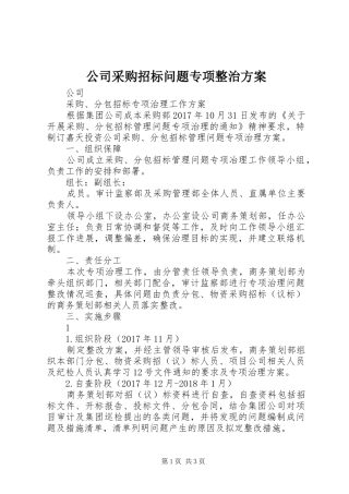 公司采购招标问题专项整治实施方案