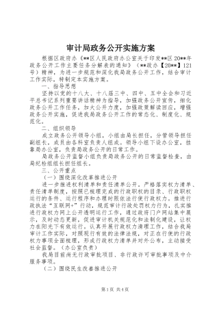 审计局政务公开方案
