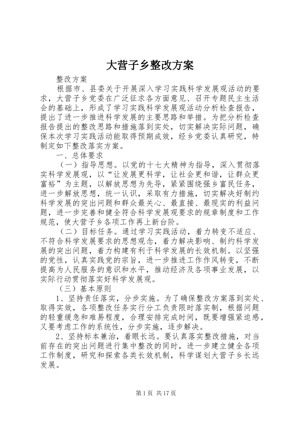 大营子乡整改实施方案_第1页