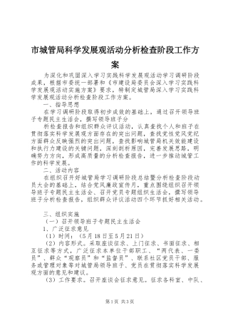 市城管局科学发展观活动分析检查阶段工作实施方案