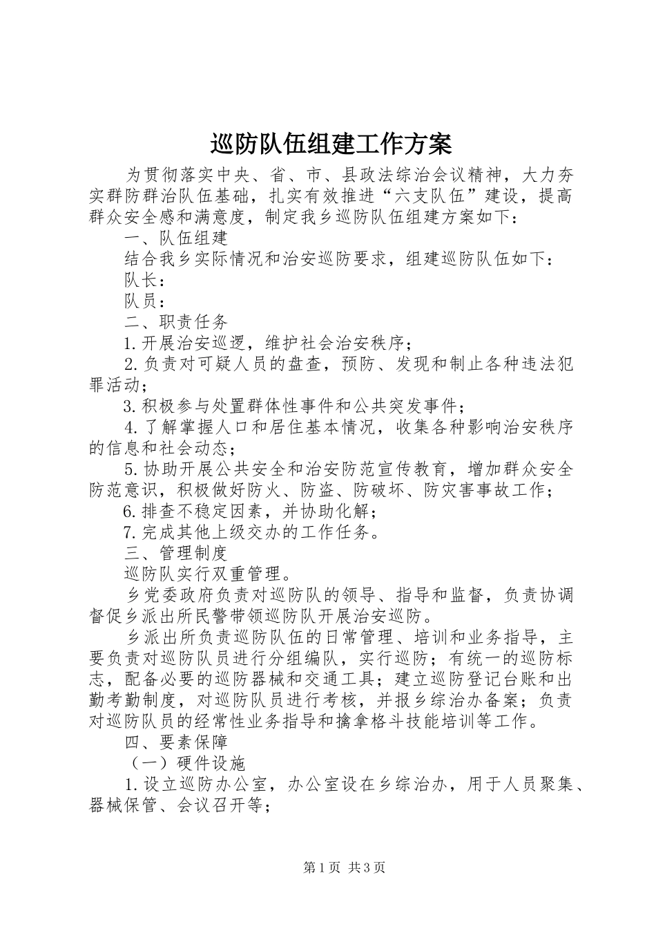 巡防队伍组建工作实施方案_第1页