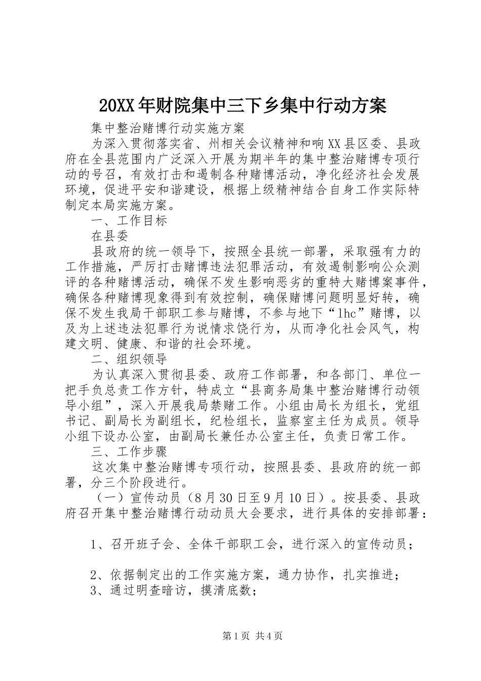 XX年财院集中三下乡集中行动实施方案 ()_第1页